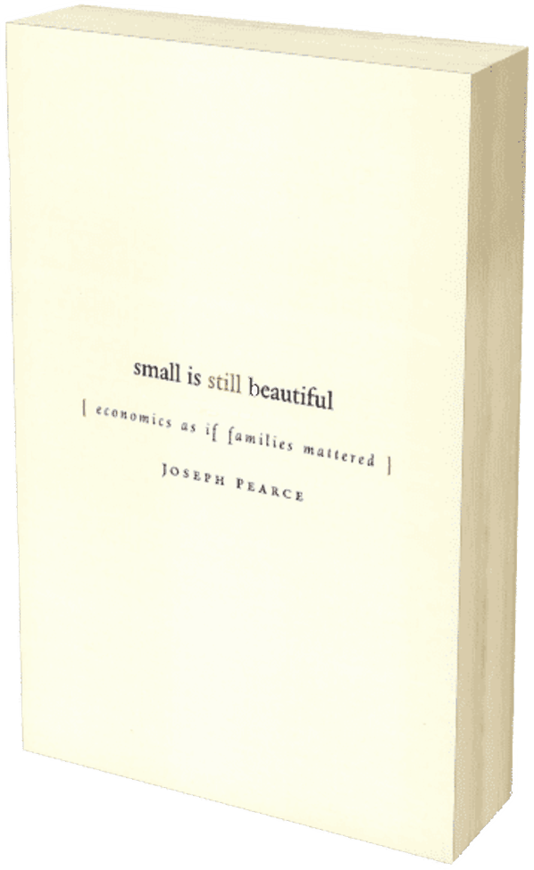 Ethics in Commerce: The Catholic Moral Theology of Economics, Private Property Rights, and Subsidiarity